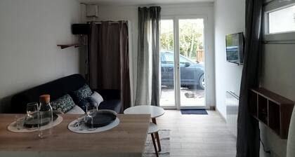 Studio rénové avec terrasse Casteljaloux Centre