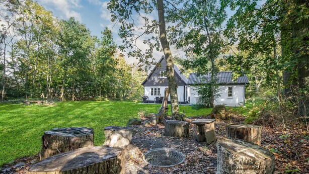 A house surrounded by a forest with a grassy lawn and several wooden stumps. - Lovely home in Gudhjem with WiFi (Gudhjem)