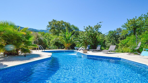 A clear blue pool with lounge chairs and palm trees.