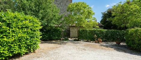 A courtyard with a stone wall, gravel ground, and various green shrubs.