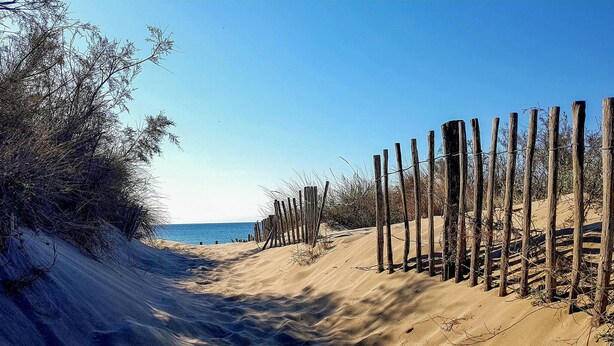 Ein Weg durch den Sandstrand mit Holzbefestigungen und vereinzelter Vegetation.