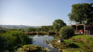 Paesaggio rurale con uno stagno, vegetazione e una piccola costruzione in legno.