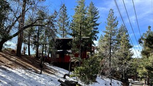 Un sendero cubierto de nieve que lleva a una cabaña roja con terraza de madera, rodeada de altos pinos.