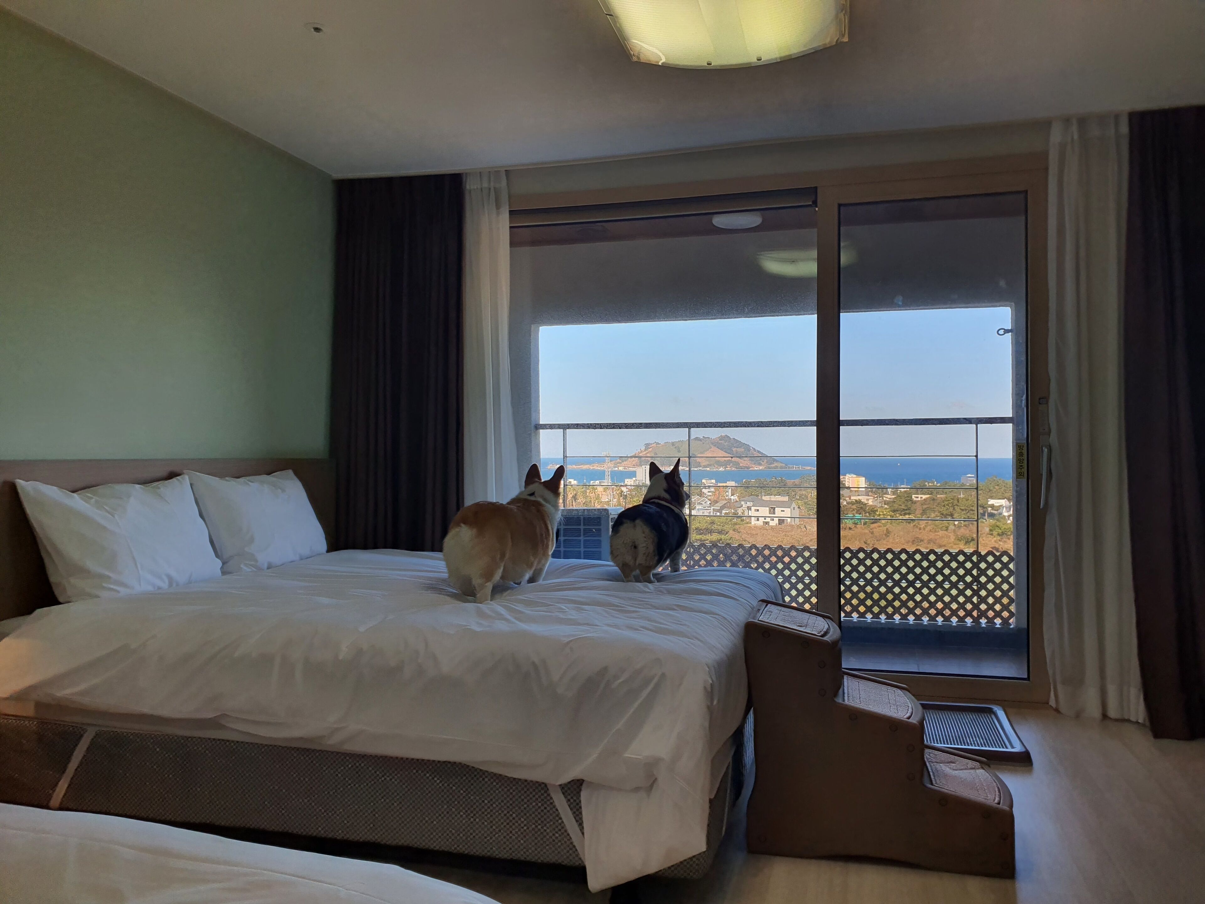 deluxe room (pet friendly) | land view from property