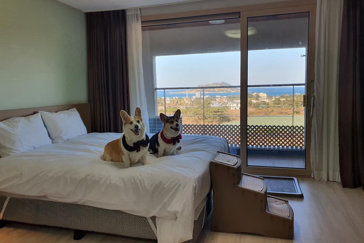 Une chambre d’hôtel avec un lit, deux chiens, une vue sur la mer et un balcon.