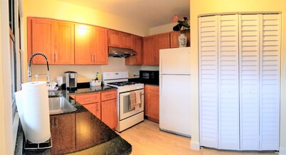 1 #33 - 4 Bedroom / 2 Bath Condo near McCormick Place, Wintrust Arena, Chinatown