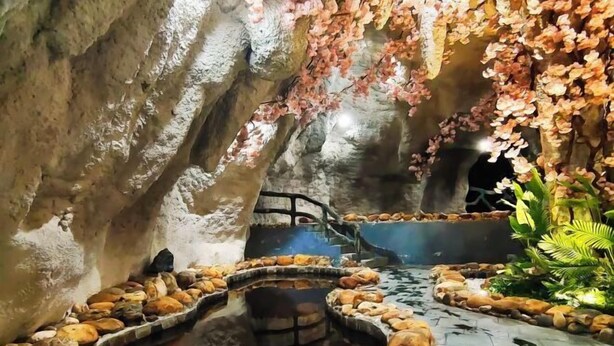 Un intérieur évoquant une grotte, avec un élément décoratif à base d’eau, des murs en pierre et des plantes suspendues.
