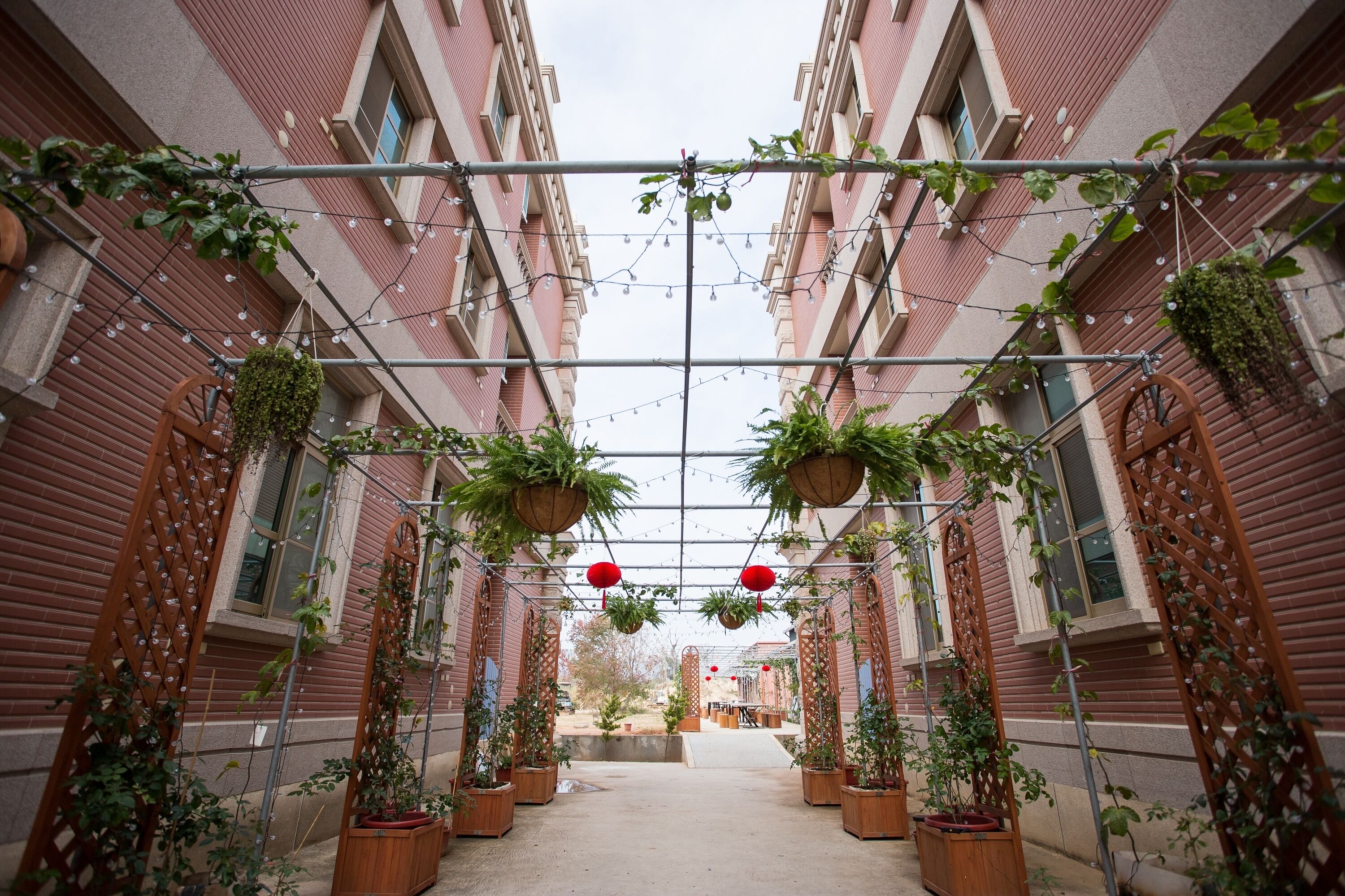 A narrow alleyway with a metal pergola structure, potted plants, and hanging red lanterns.