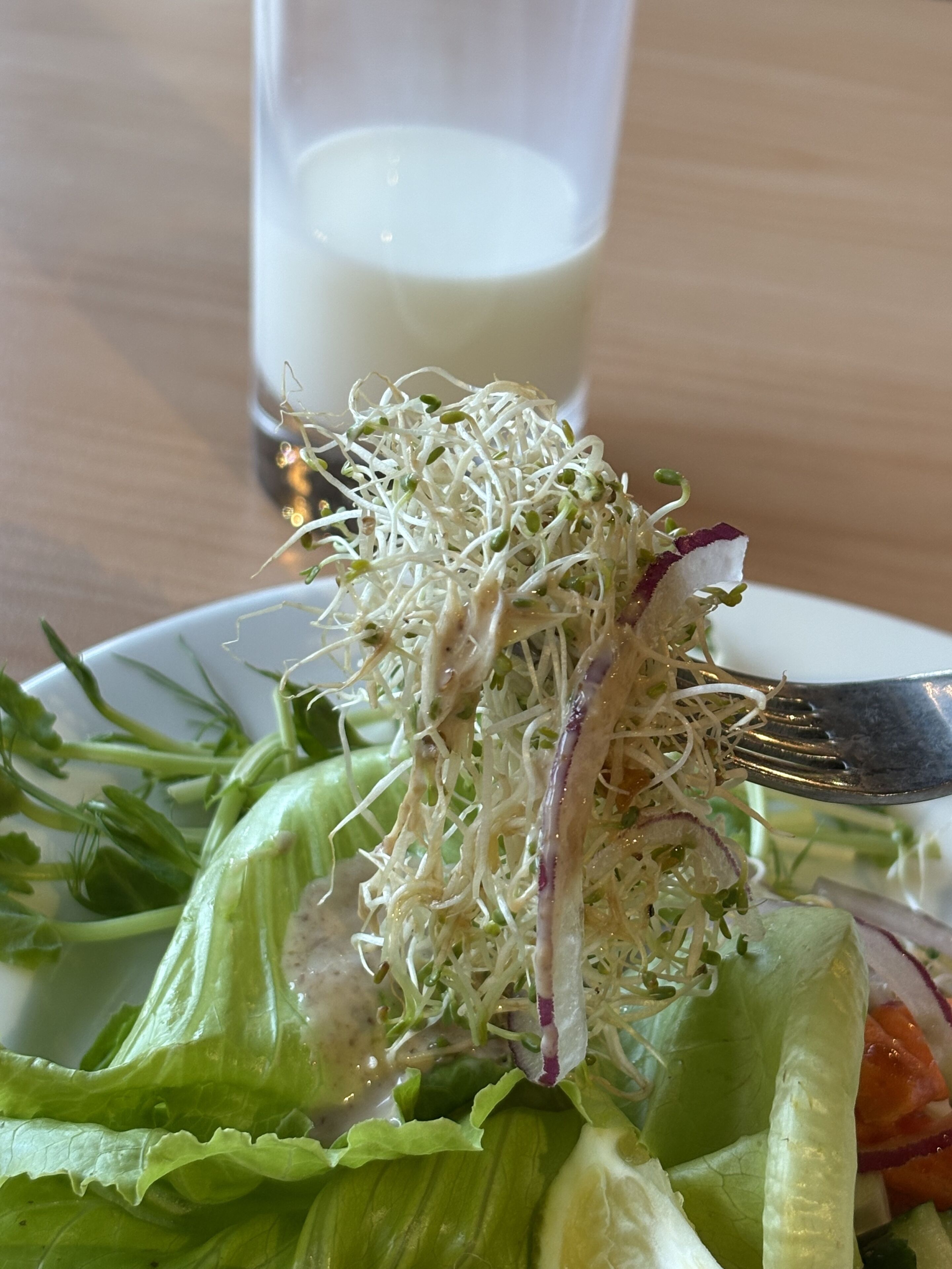 Ensalada con brotes y un tenedor sobre un plato.