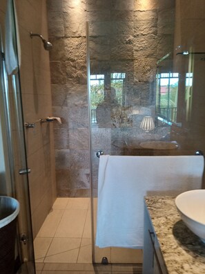 Regadera, secadora de cabello, bidet, toallas