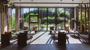 Un espacio interior moderno con ventanas amplias, una zona de estar con sofás y mesas, y vistas a un jardín exuberante.