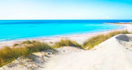 Wunderschöne Wohnung auf dem Land mit Swimmingpool an der etruskischen Küste