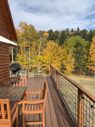 Remote off-grid cabin. Comfortable modern interior on 60 acres.