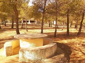 Áreas de la propiedad