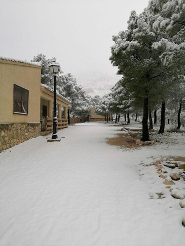 Casa Rural Pinar del Rey