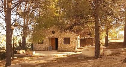 Casa Rural Pinar del Rey