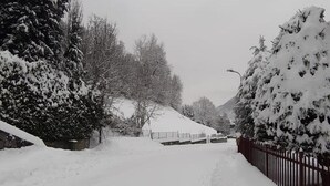 Een besneeuwde straat met bomen en een hek.