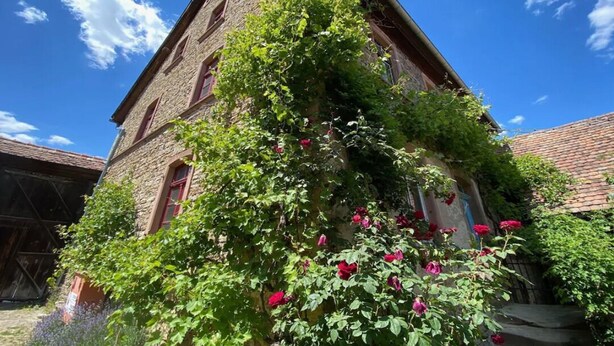 Een historisch stenen gebouw met een flauw oplopende kap, muurranken en een kleine tuin met rode bloemen.
