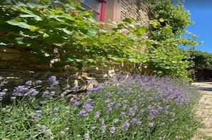 Stroll through the serene garden, surrounded by lush greenery and vibrant flowers.