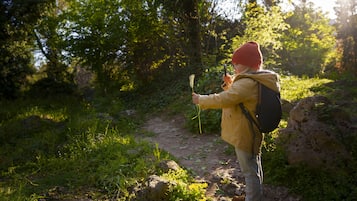 A person hiking on a forest trail with a backpack and a walking stick.