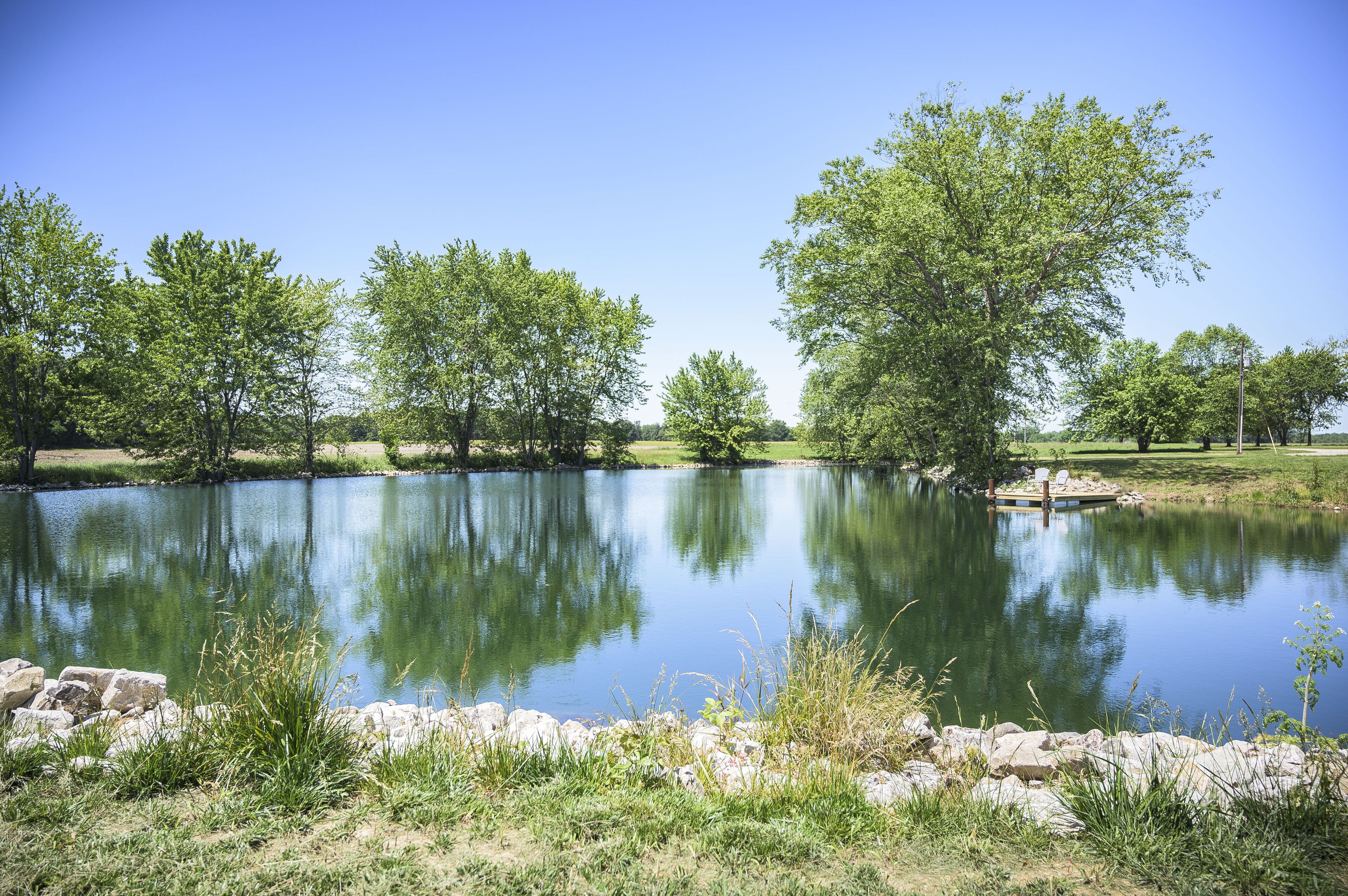 A calm lake surrounded by trees and a grassy area.