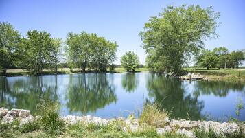 A calm lake surrounded by trees and a grassy area.