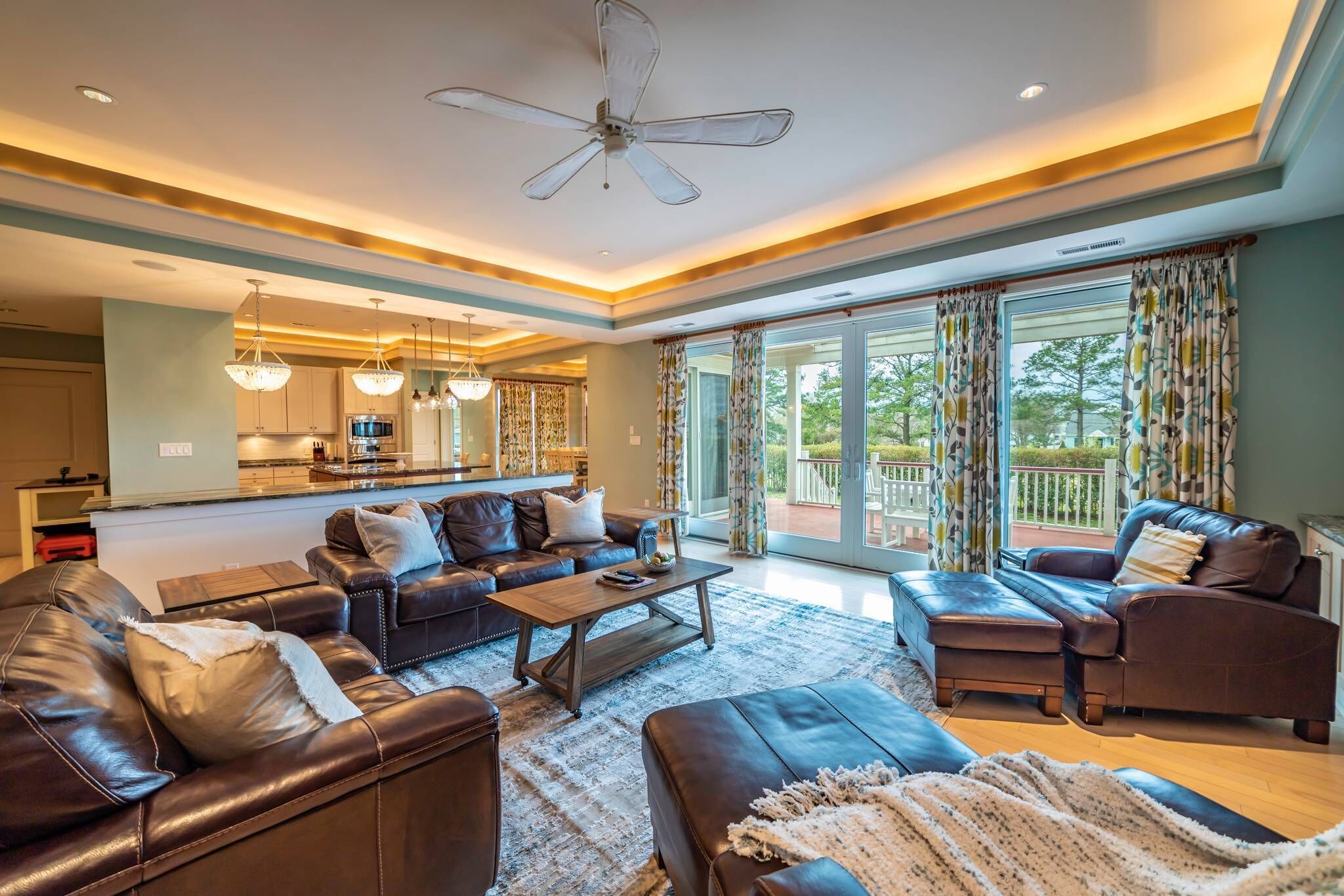 电视、壁炉、DVD 播放器、书