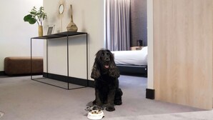 Un perro negro sentado sobre una alfombra en una habitación de hotel, con una cama, una mesita de noche con un florero y una planta.