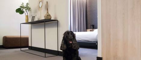 A black dog sitting on a carpet in a hotel room with a bed, a bedside table with a vase, and a plant.
