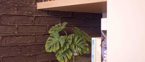 Una estantería con libros y una planta en maceta.