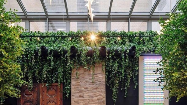 A restaurant with a glass ceiling, hexagonal floor tiles, wooden tables and chairs, and a brick wall with greenery. - Amerikalinjen (Oslo)