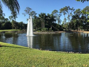 Lac