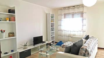 Televisión, reproductor de DVD y libros