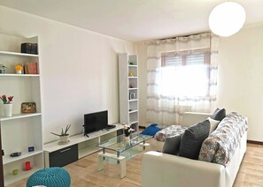TV, DVD player, books