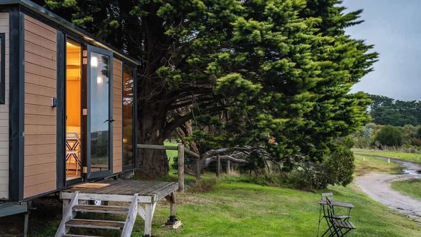 Eine kleine Holzhütte mit Veranda und einem großen Baum in der Nähe.