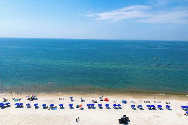 Views from the balcony! Wait until you hear the Gulf of Mexico. So beautiful.