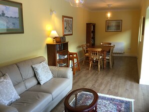 Smart TV, fireplace, DVD player, books