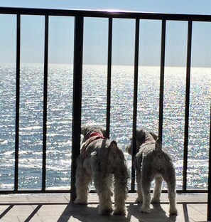 Dogs enjoy the view from this balcony overlooking the serene water below.