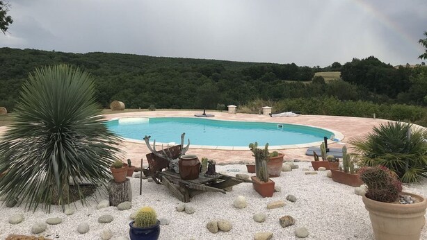 A swimming pool surrounded by desert plants and a grassy hill in the background. - Domaine du Colombier- A Southern France Living Experience (Larroque)