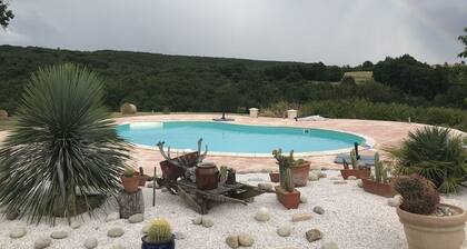 Domaine du Colombier- A Southern France Living Experience