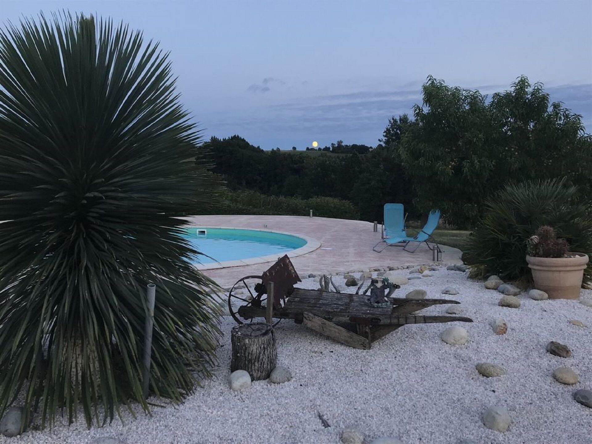 Un espace piscine doté d’une piscine circulaire, de chaises longues bleues et d’un grand yucca.