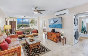 Flat-screen TV, DVD player