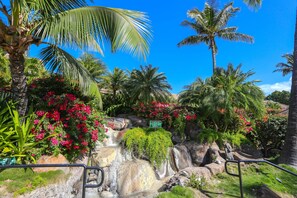 Parco della struttura