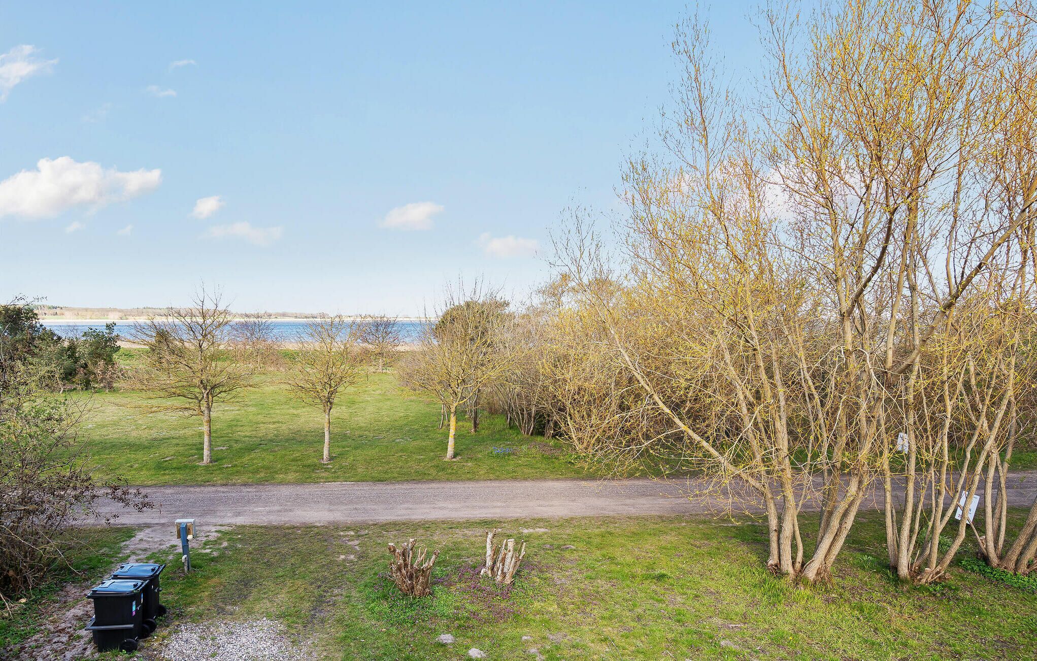 A pathway leading to a beach with trees and a clear sky.