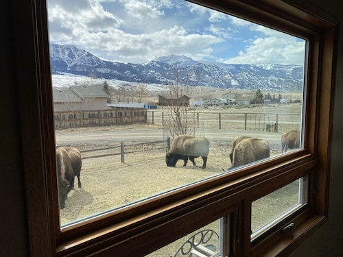 Elk Haven House - Less than 5 min from Yellowstone Park! Beautiful views! 