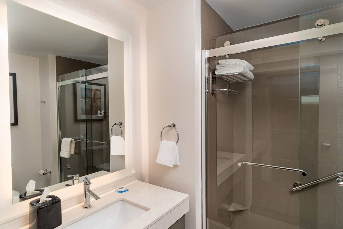 combined shower/bathtub, hair dryer, towels