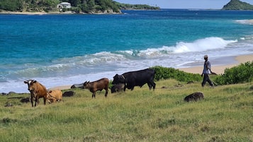 On the beach, beach towels