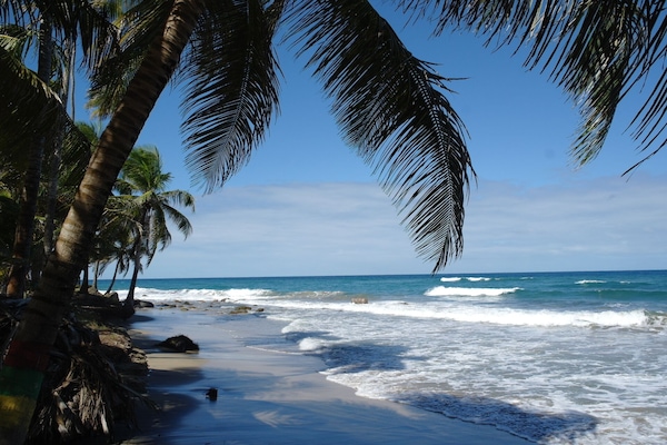 A la platja i tovalloles de platja
