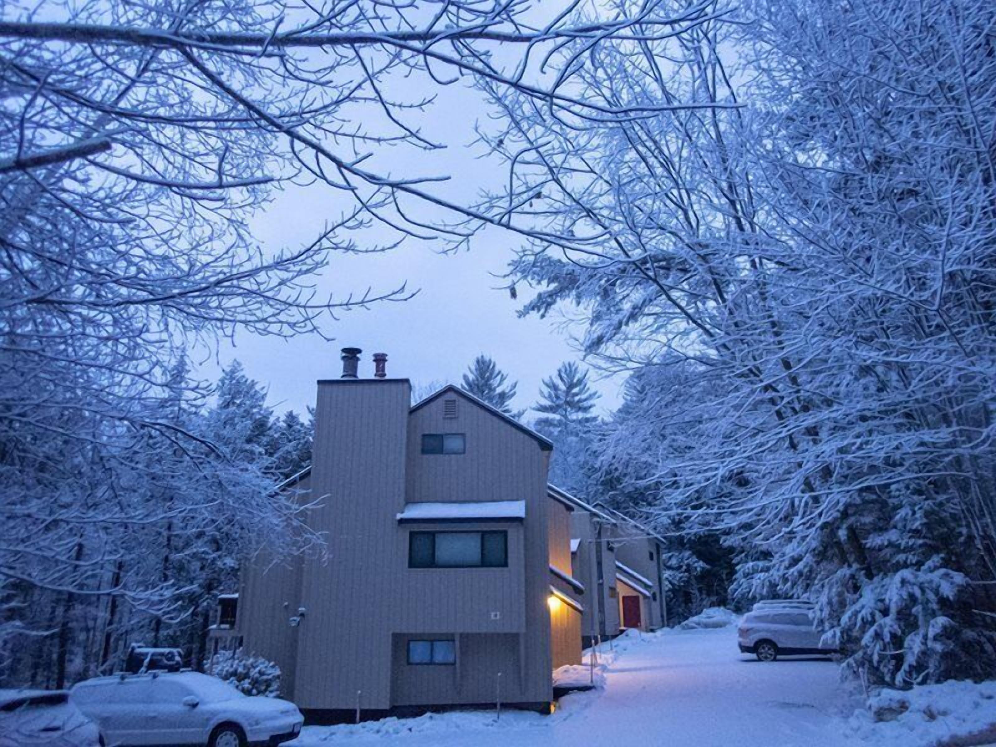 Condo (Just Listed! Pet Friendly One Bedroom) | Exterior