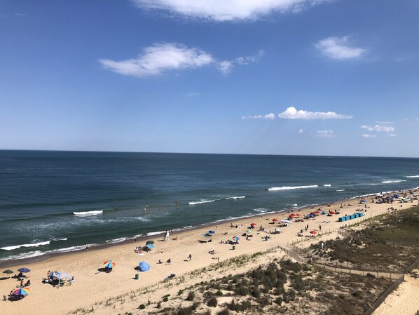 Beach nearby, sun-loungers